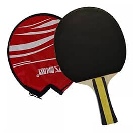 Paleta ping pong